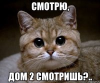 смотрю, дом 2 смотришь?..