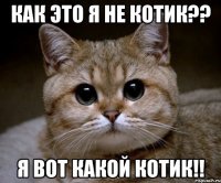 как это я не котик?? я вот какой котик!!