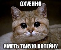 охуенно иметь такую котейку