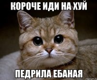 короче иди на хуй педрила ебаная