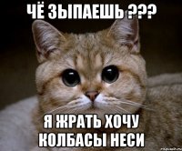 чё зыпаешь ??? я жрать хочу колбасы неси