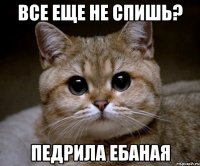 все еще не спишь? педрила ебаная