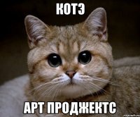 котэ арт проджектс