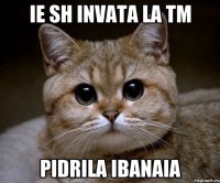 ie sh invata la tm pidrila ibanaia