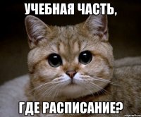 учебная часть, где расписание?