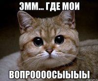 эмм... где мои вопроооосыыыы