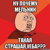 ну почему мельник такая страшая,уеба???