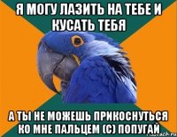 я могу лазить на тебе и кусать тебя а ты не можешь прикоснуться ко мне пальцем (с) попугай