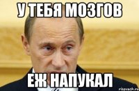 у тебя мозгов еж напукал