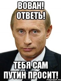 вован! ответь! тебя сам путин просит!