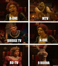 A-ONE Bridge TV RU-TV MTV A-ONE 9 Волна