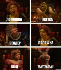 Лолошка Бендер Шед Евгеха Лолошка ТАААТААТАА!!!