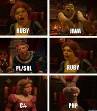 ruby pl/sql c# java ruby php