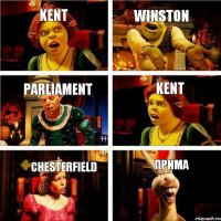 Kent Winston Parliament Kent Chesterfield ПРИМА