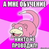 а мне обучение никто не проводил!