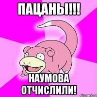 пацаны!!! наумова отчислили!