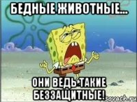 бедные животные... они ведь такие беззащитные!