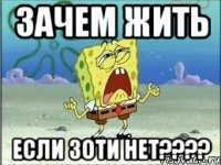 зачем жить если зоти нет???