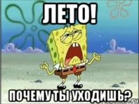 лето! почему ты уходишь?