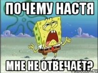 почему настя мне не отвечает?