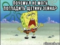 почему я не могу погладить щетину зейна? 