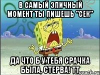 в самый эпичный момент ты пишешь "сек" да что б у тебя срачка была, стерва! тт