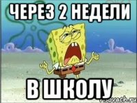 через 2 недели в школу