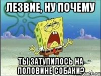 лезвие, ну почему ты затупилось на половине собаки?