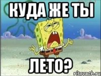 куда же ты лето?