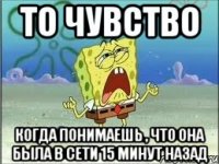 то чувство когда понимаешь , что она была в сети 15 минут назад