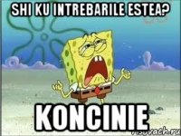 shi ku intrebarile estea? koncinie