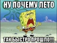 ну почему лето так быстро прошло!!!