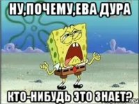 ну,почему,ева дура кто-нибудь это знает?