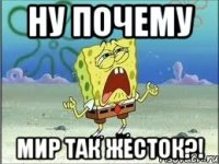 ну почему мир так жесток?!