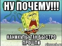 ну почему!!! каникулы так быстро прошли