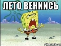 лето вениись 