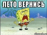 лето вернись 