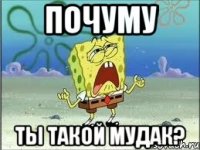 почуму ты такой мудак?