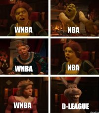 WNBA NBA NBA WNBA WNBA D-League