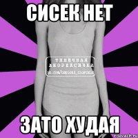 сисек нет зато худая