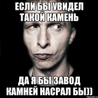 если бы увидел такой камень да я бы завод камней насрал бы))