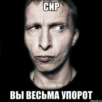 сир вы весьма упорот