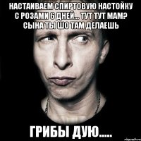 настаиваем спиртовую настойку с розами 6 дней... тут тут мам? сына ты шо там делаешь грибы дую.....