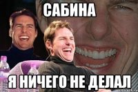 сабина я ничего не делал