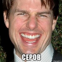  серов