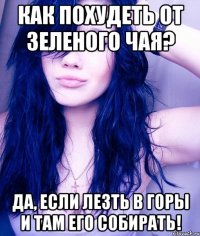 как похудеть от зеленого чая? да, если лезть в горы и там его собирать!