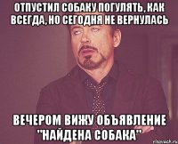 отпустил собаку погулять, как всегда, но сегодня не вернулась вечером вижу объявление "найдена собака"