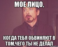 мое лицо, когда тебя обвиняют в том,чего ты не делал