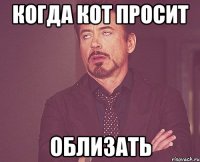 когда кот просит облизать