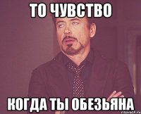 то чувство когда ты обезьяна